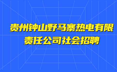 貴州鐘山野馬寨熱電有限責(zé)任公司社會招聘