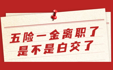 五險(xiǎn)一金離職了是不是白交了